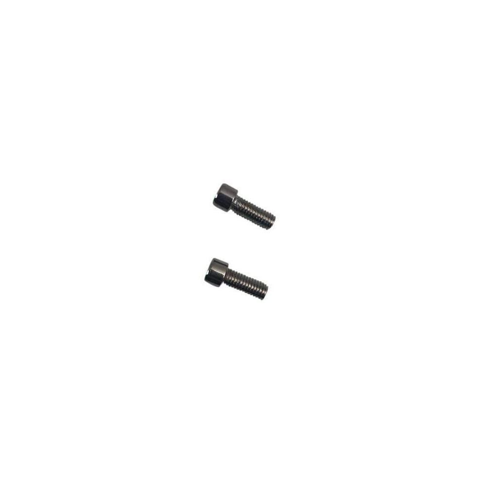 Ion Alloy Set Of 2 Replacement Screws 171 And 174 C101710 Chrome Center Cap 759321759936