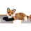 Douglas Douglas Roxy Red Fox Plush Stuffed Animal 2