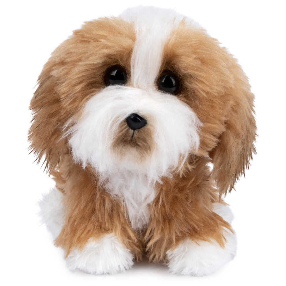 Gund Boo, Der S Este Hund Der Welt, Boo & Friends-Kollektion, Tibet-Terrier-Welpe, Stofftier F R Kinder Ab 1 Jahr, 5-image