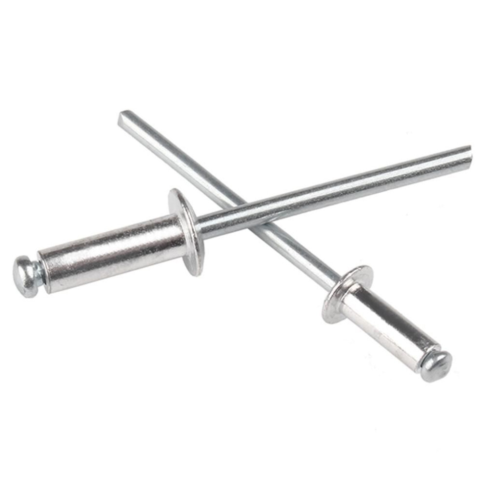 100Pcs Metalworking Home Nail Pop Rivets For Furniture Car Blind Rivets Break Mandrel