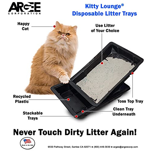 Kitty Lounge Μια Χρήση Δίσκος Ακαθαρσιών, Μαύρος, 50-Πακέτο- Argee RG606/50, Μαύρος 1