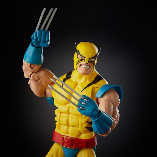 Marvel Hasbro Marvel Legends Wolverine and Hulk 6-Inch Action Figure 2-Pac Standard 1
