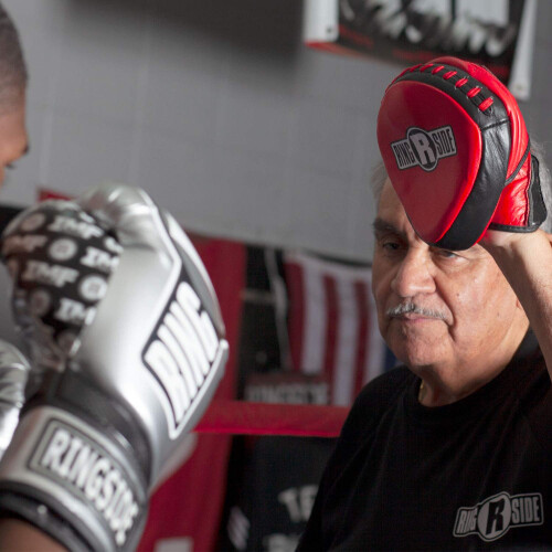 Ringside Mini Boxing Punch Mitt 2