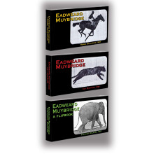 Fliptomania Muybridge Early Photography Flipbook 3-Pack: Horse Cat Elephant