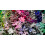1000 Kleuren Puzzel CMYK Gradient Clemens Habicht 5