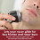 Lectric Shave Pre-Shave Original 7 oz. (3-Pack) 2