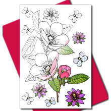 Art Eclect Adult Coloring Bloemen Wenskaarten voor Verjaardagen Jubileum Bedank- en Medelevenkaarten 10 Kaarten en 10 Enveloppen Set Bloemen B/Roze