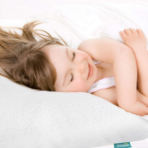 Toddler Pillowcase Protector 2 Pack  Waterproof Pillowcase Cover  Visc 2