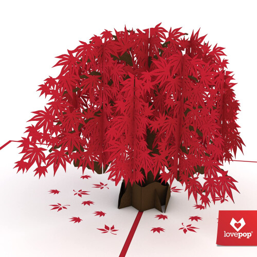 Lovepop Κάρτα 3D Everyday για Αυτούς και Αυτές - 5" x 7" Σφενδάμι - Κενή Κάρτα & E 1