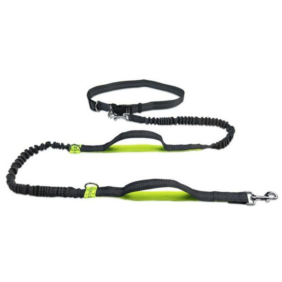 (green) Reflective Leash Traction Rope Pet Dog Running Belt Elastic Hands Freely Jogging Pull Dog Leash