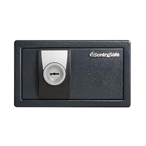 SentrySafe X031 Security Safe with Key Lock, 0.35 Cubic Feet, Black 2