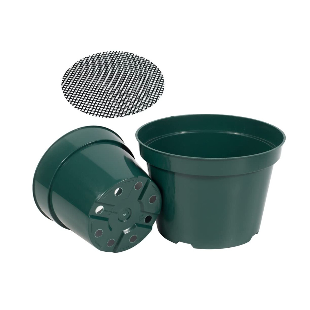 Daperci Pouces Pot De P?Pini?Re Plante Cultiver Des Pots De Fleurs Robustes En Gros Prix 20P Vert-image