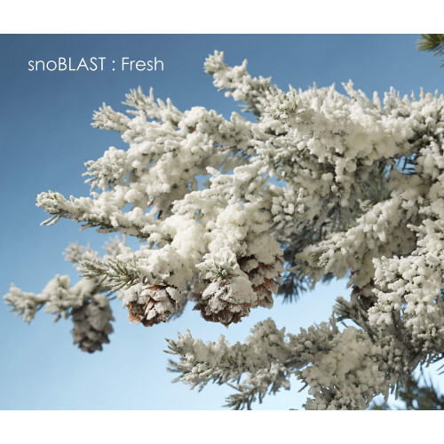 Design Master Λευκό SNOBLAST 1