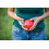 Set di bocce classiche Triumph da 100 mm - Include 8 bocce, jack e custodia per il trasporto 5