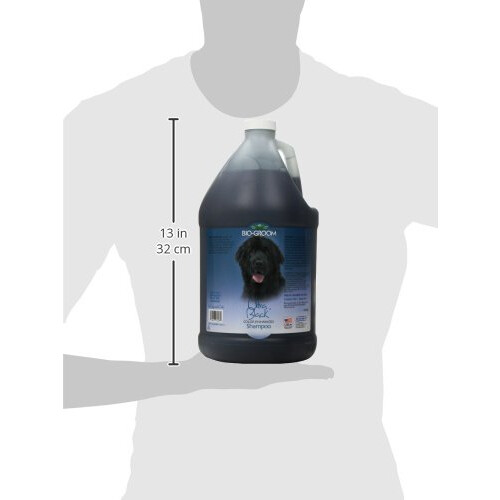 Bio-Groom Ultra-Black Σαμπουάν Σκύλου - Σαμπουάν για Ζώα που Ενισχύει το Χρώμα 2