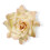 Wilton Gum Paste Succulents Cut-Outs Set, 9-Piece 4