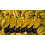 Dondor Plastic Gold Trophy Awards - Bulk Trophy Awards! (TOP bann) 3