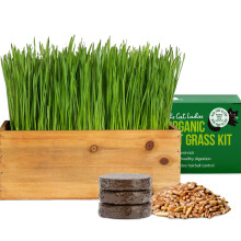 Cat Ladies Cat Grass Kit (Organic) med rustik trplanterfr och jord som r ltt att odla fr inomhus- eller utomhuskatter hundar och andra husdj