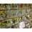 Pokémon 5 Pokemon Break Cards 1