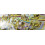 Pokémon 5 Pokemon Break Cards 5