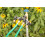 Orbit 58970 4-Way Manifld and Shut-Offs 4