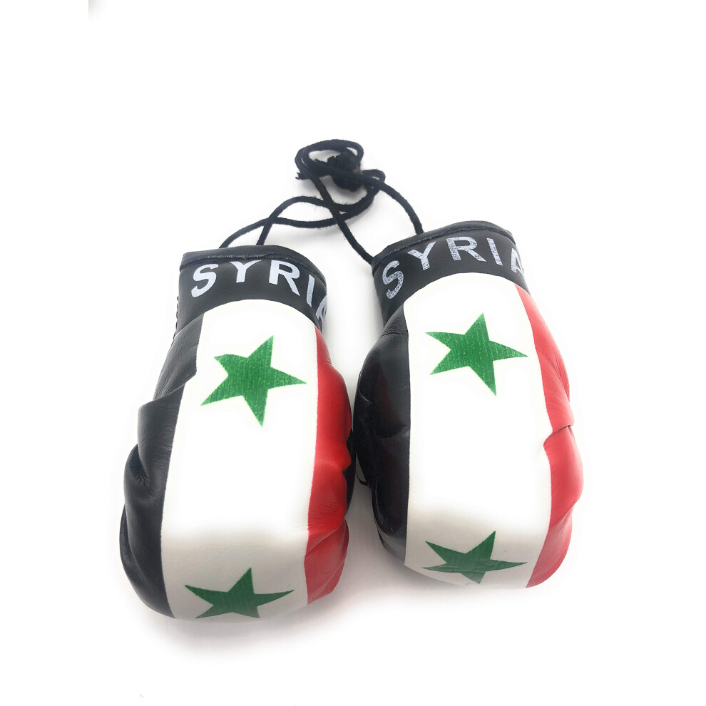 Hat Ent Hanging Car Mirror Mini Boxing Gloves (Syria) Red 695510470780