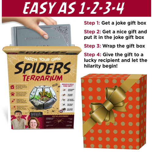 Prank Gift Box Φτιάξε το Δικό Σου Αράχνη Terrarium - Ιδανικό Αστείο Δώρο 1