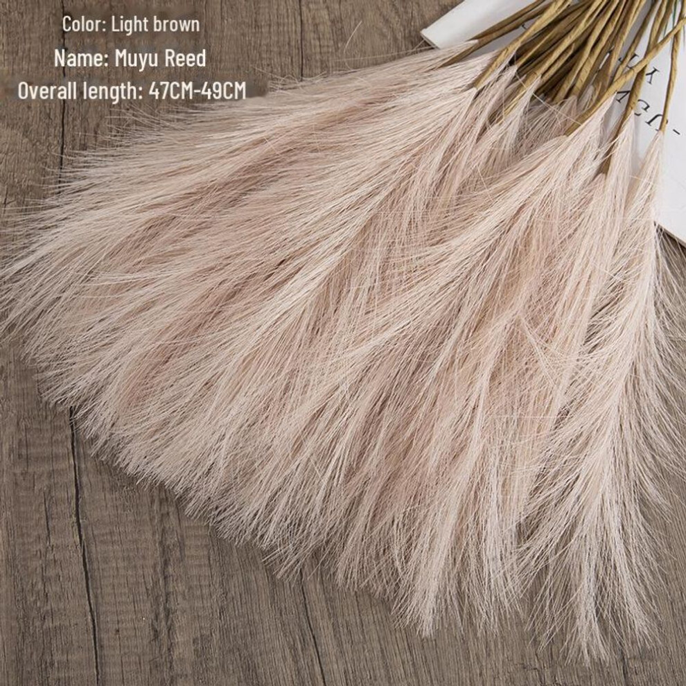 (light brown) Ins Style Artificial Pampas Reed Flowers For Home Decoration And Weddings