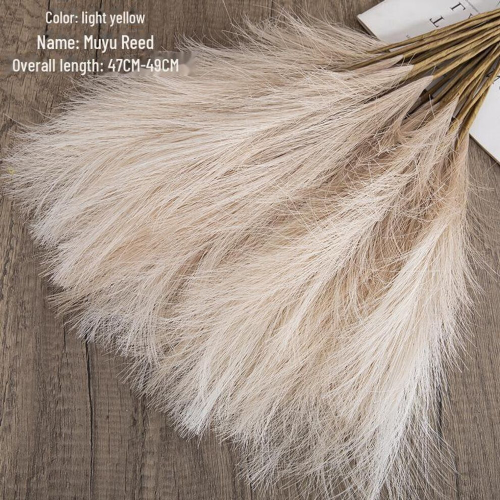 (light yellow) Ins Style Artificial Pampas Reed Flowers For Home Decoration And Weddings