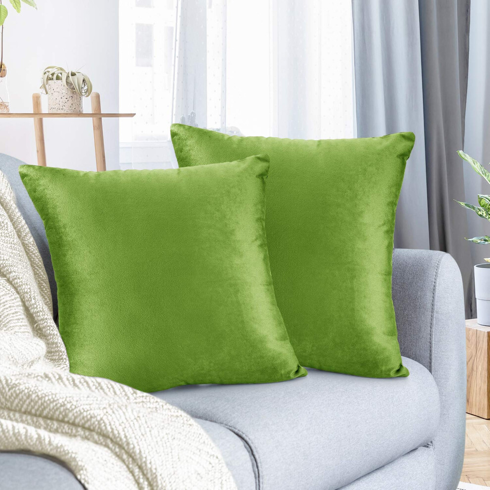 Housses de coussin d   coratives en velours douillet de style jardin vert, 45 x 45 cm, douces et solides, pour canap   -lit et voiture, lot de 2