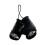 Baltimore Ravens Boxing Gloves Mini Co 1