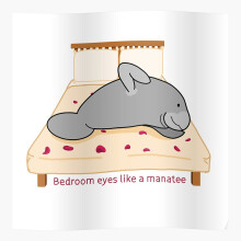 (Bedroom Eyes Like A Manatee - Taylor Swift Misheard Lyrics=156) Posters 16x20" or 18x18inch Wall Art Living Room Bedroom Décor Print