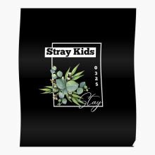 (Stray Kids world domination - SKZ =5007) Posters 16x20" or 18x18inch Wall Art Living Room Bedroom Décor Print