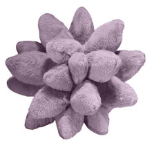 (Purple)Succulent Plant Toy Pillow Special Pillow Home Furnishings Gifts For Girls On Valentine's Day