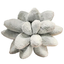 (gray)Succulent Plant Toy Pillow Special Pillow Home Furnishings Gifts For Girls On Valentine's Day