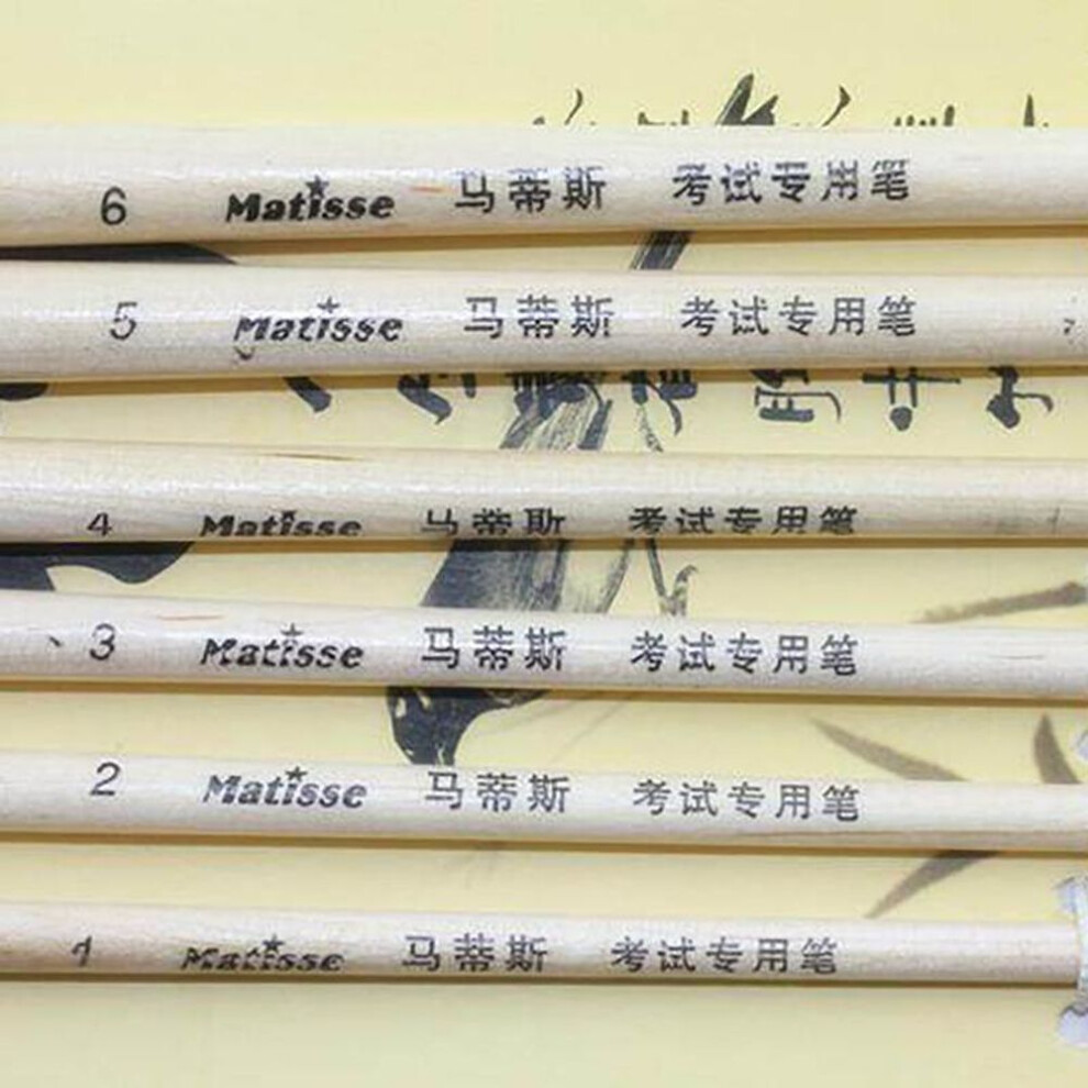 Jowoart 6pcs/set,weasel Hair Water Round Head Chalk Painting Pen Brush Acrylic Oil Painting Watercolor Professional Art Supplies