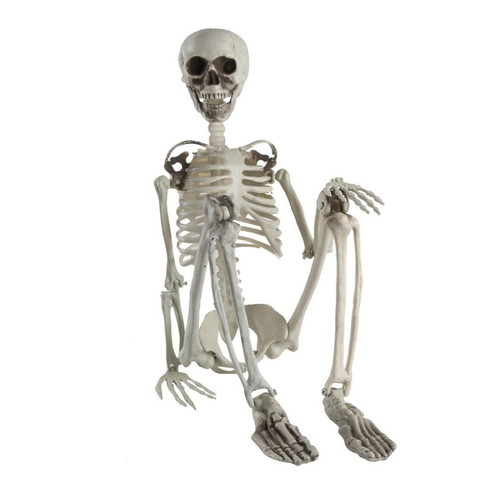 (white, M/90) Halloween Skeleton Life Size Realistic Human Bones Pp Material Seven Adjustable Joints  Suitable For Halloween Or Prank Themes
