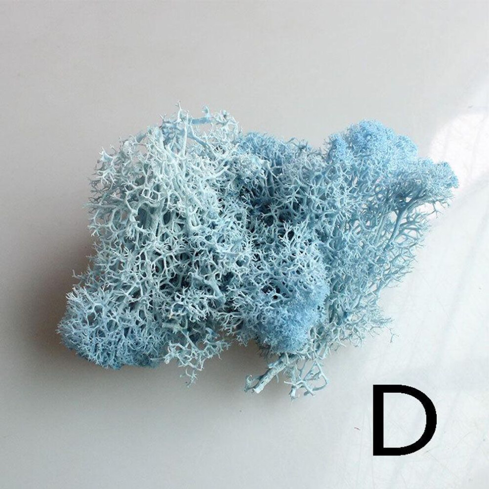 (sky blue) 1 Bag Reindeer Micro Craft Flower Moss Plant Landscape Artificial Fairy Decor Grass Wedding