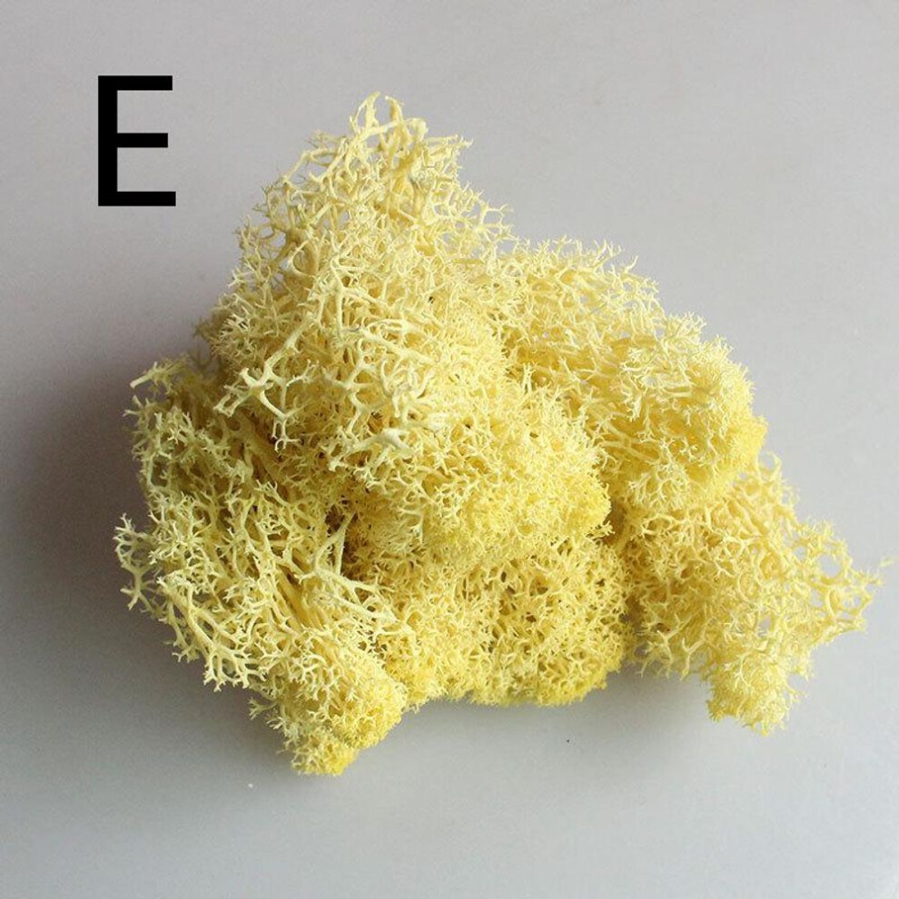 (yellow) 1 Bag Reindeer Micro Craft Flower Moss Plant Landscape Artificial Fairy Decor Grass Wedding