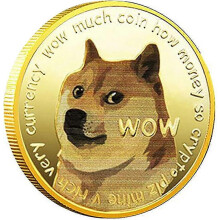 (gold, One size) Dogecoin Coin Doge Coin Commemorative Coin Physical Blockchain Crypto Collectible Coin with Protective Case,1pc