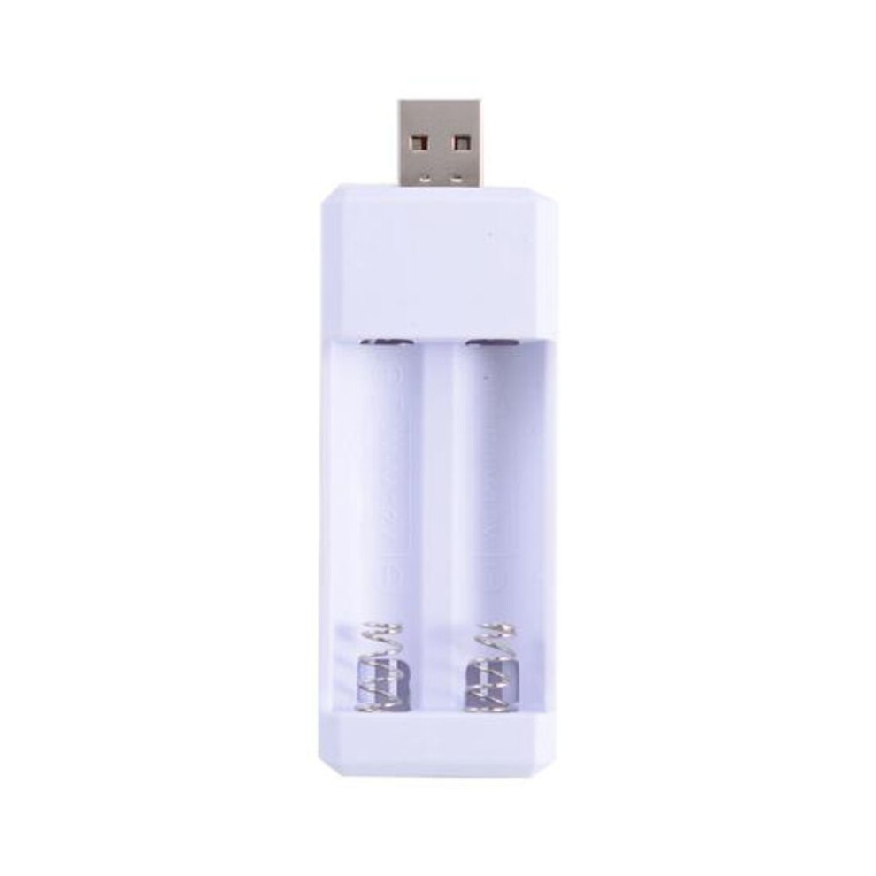Electronic Battery Charger Trickle Output Charging Overvoltage Protection Lightweight 8-13W Long Lasting Adapter