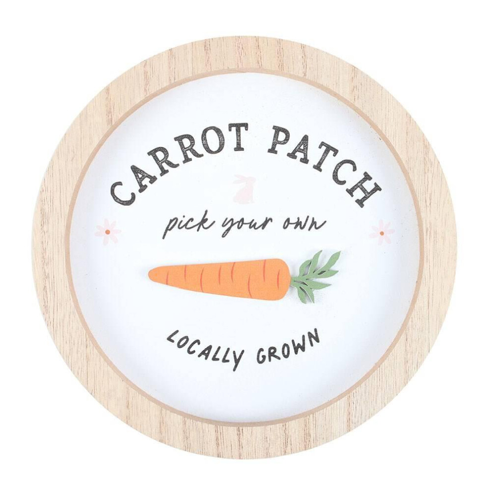 Something Different Carrot Plaque