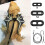 3 Size Pack Bearded Dragon Lizard Leash Harness 1