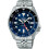 Seiko Winter hardlooplegging 2