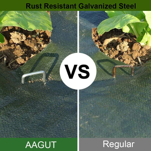 AAGUT Land 2