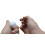 EZBallStamp Golfbold Stamp Marker (Blue Eagle) 3