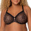 Curvy Kate Curvy Couture Women 2