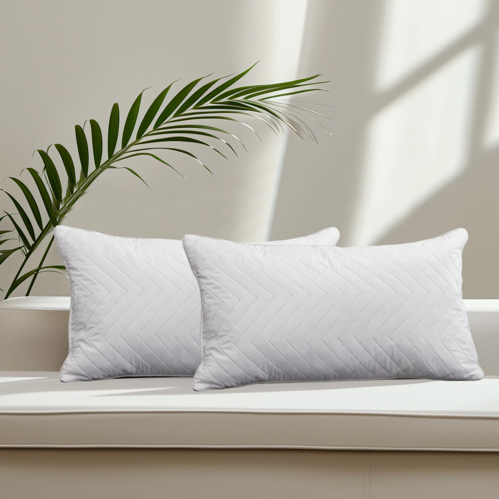 Lot de 2 coussins décoratifs en plumes d'oie Bafode 12x20, luxueux, matelassés et ondulés, avec bordure en satin gris argenté exquise, parfaits p