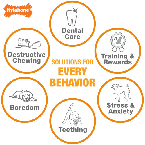 Nylabone Nylabone Dura Chew ?e ?e?s? ??d???? ?e e?a??a?t??? ????? ????, ?e???? 2