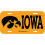 Iowa Hawkeyes nummerplade 1